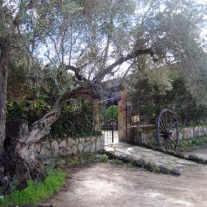 el campito -finca rural